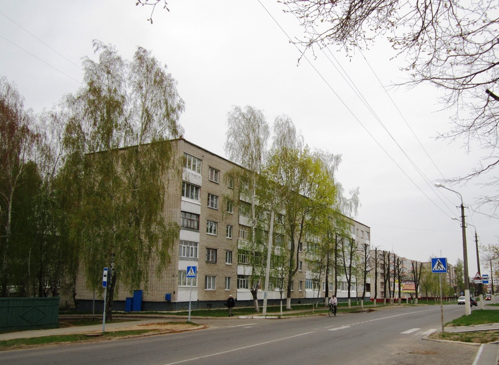 Рогачёв, Улица Ленина, 110