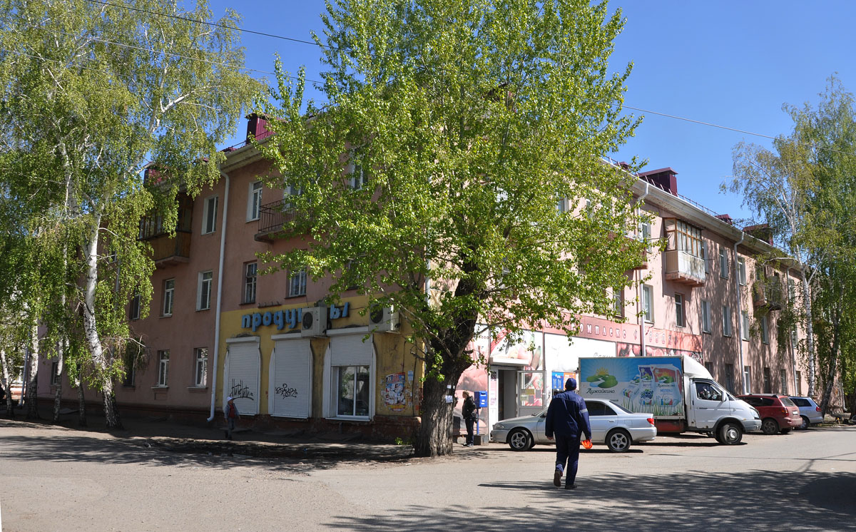 Омск, Улица Академика Павлова, 27