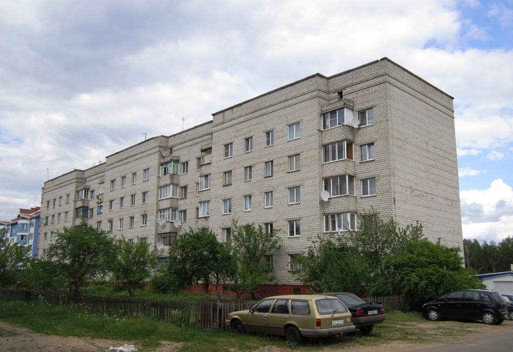 Рогачёв, Улица Владислава Волкова, 7