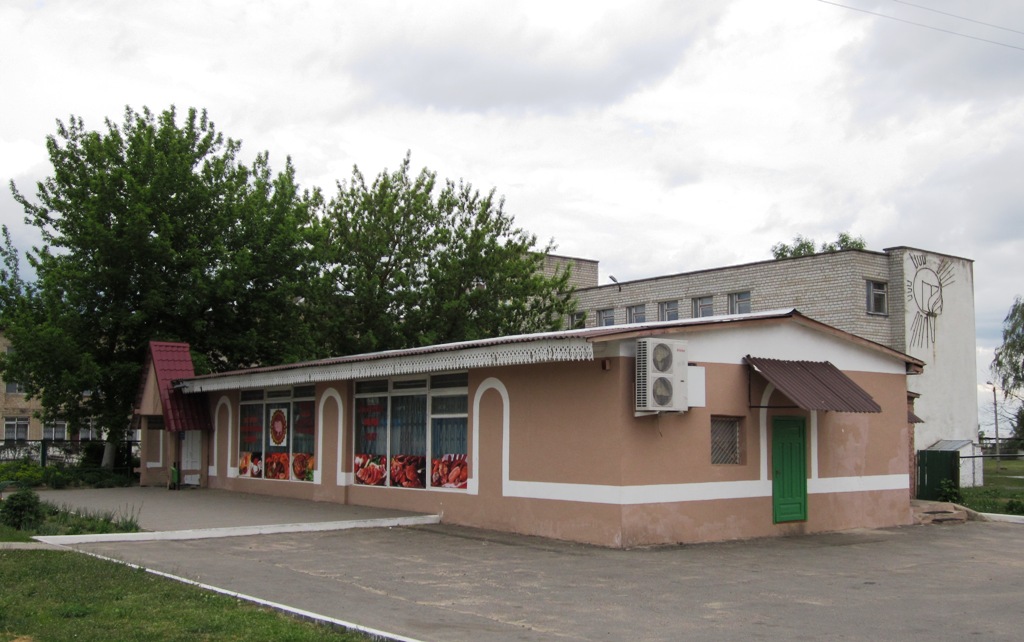 Рогачёв, Улица Кирова, 31