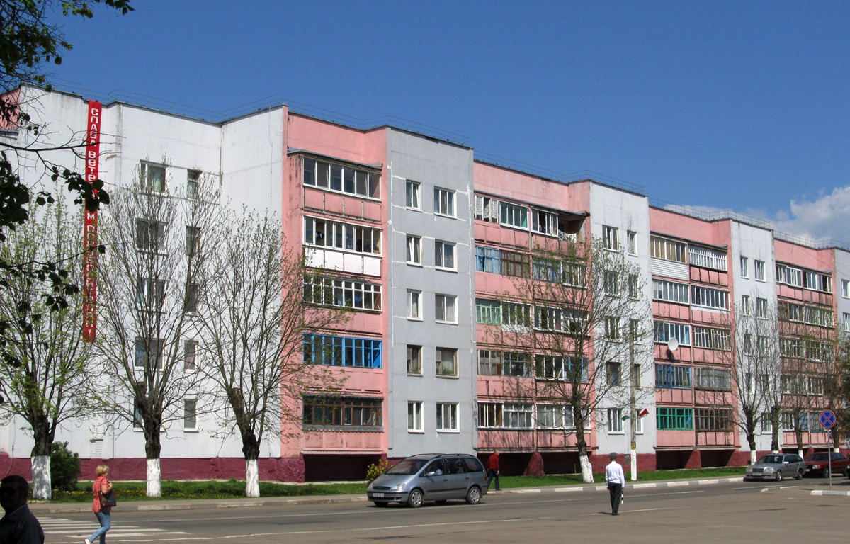 Чаусы, Пионерская улица, 14