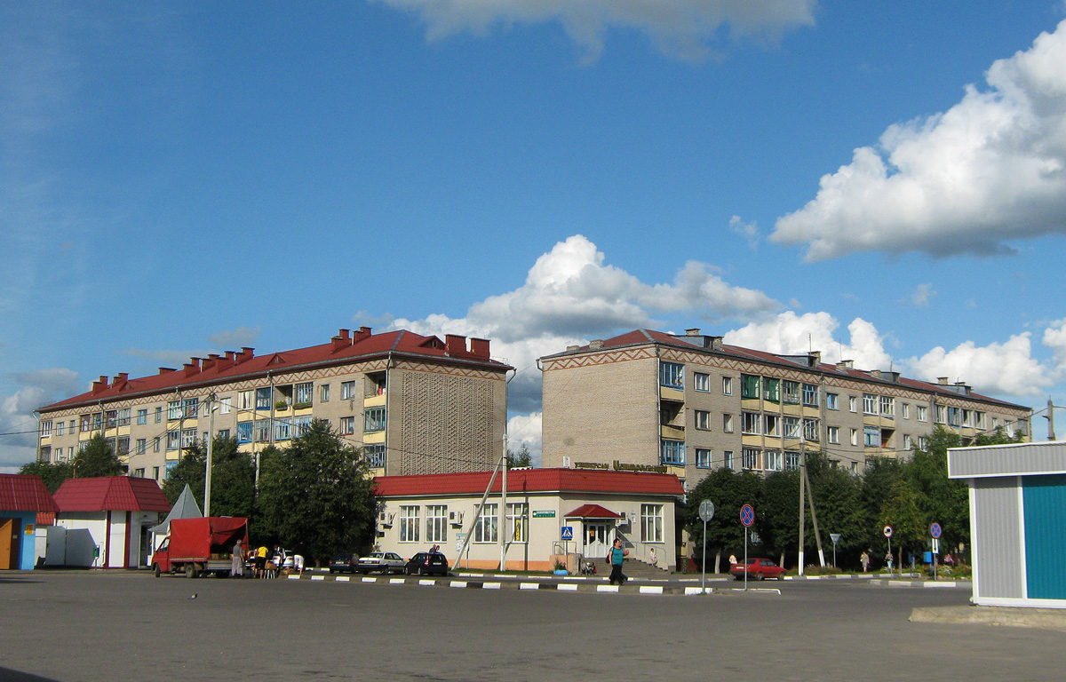 Чаусы, Улица Карасёва, 2; Ленинская улица, 1б