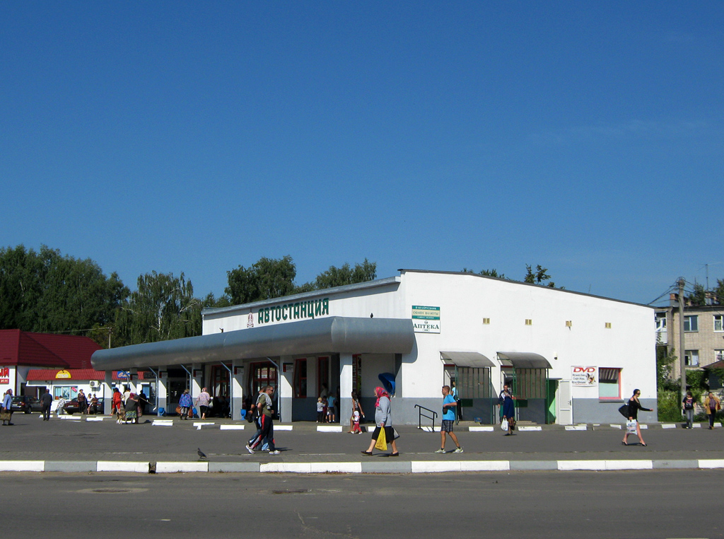 Чаусы, Ленинская улица, 2а
