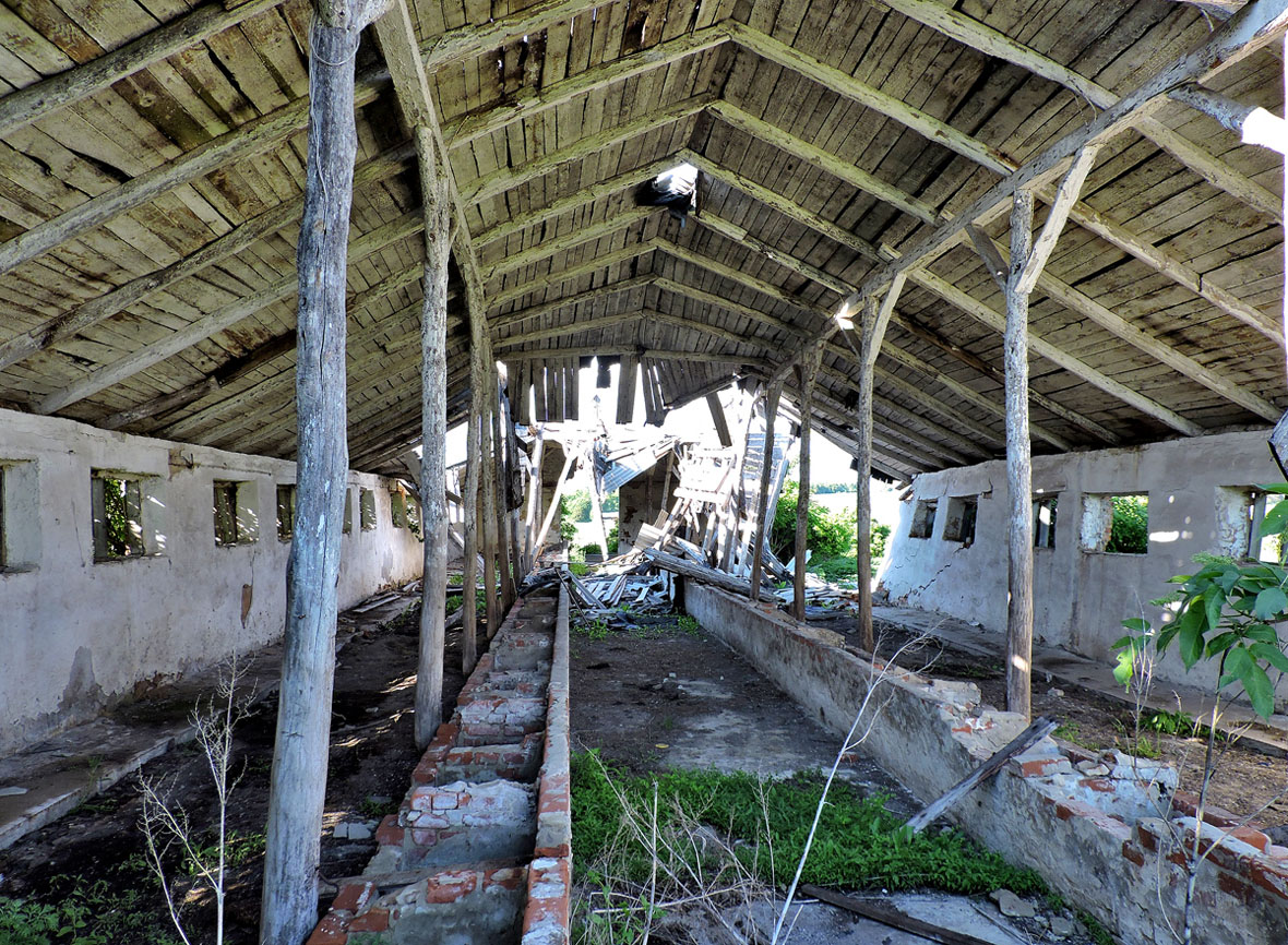 Харьковский район, прочие н.п., с. Бисквитное, Полтавская улица, ?