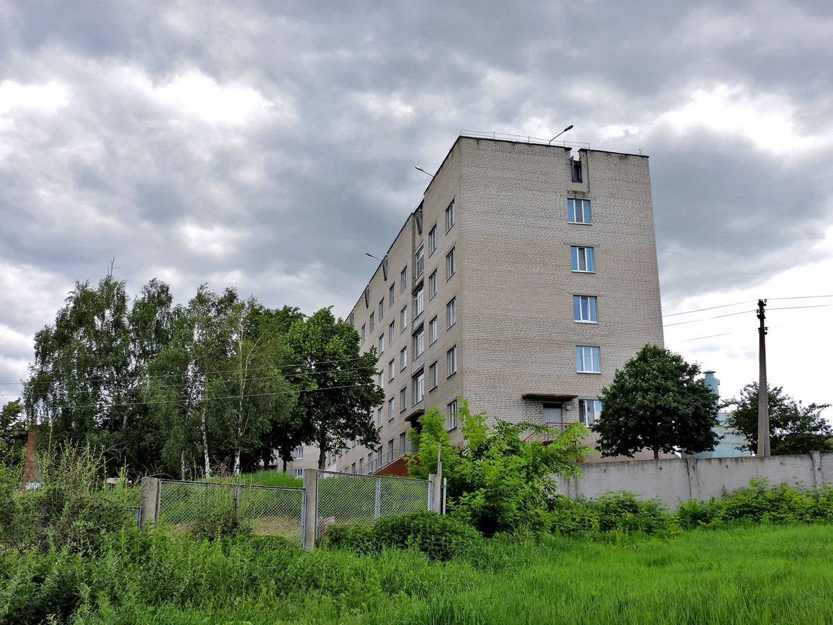 Хорошево, Улица Ленина, 2