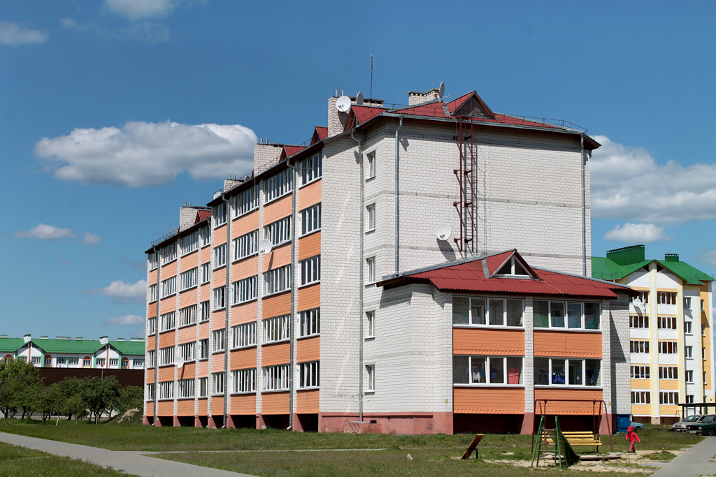 Лельчицы, Улица Ленина, 44А