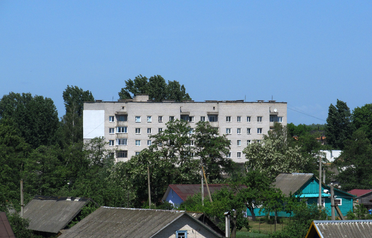 Несвижский район, прочие н. п., Рудавка, улица Лазаря, 6
