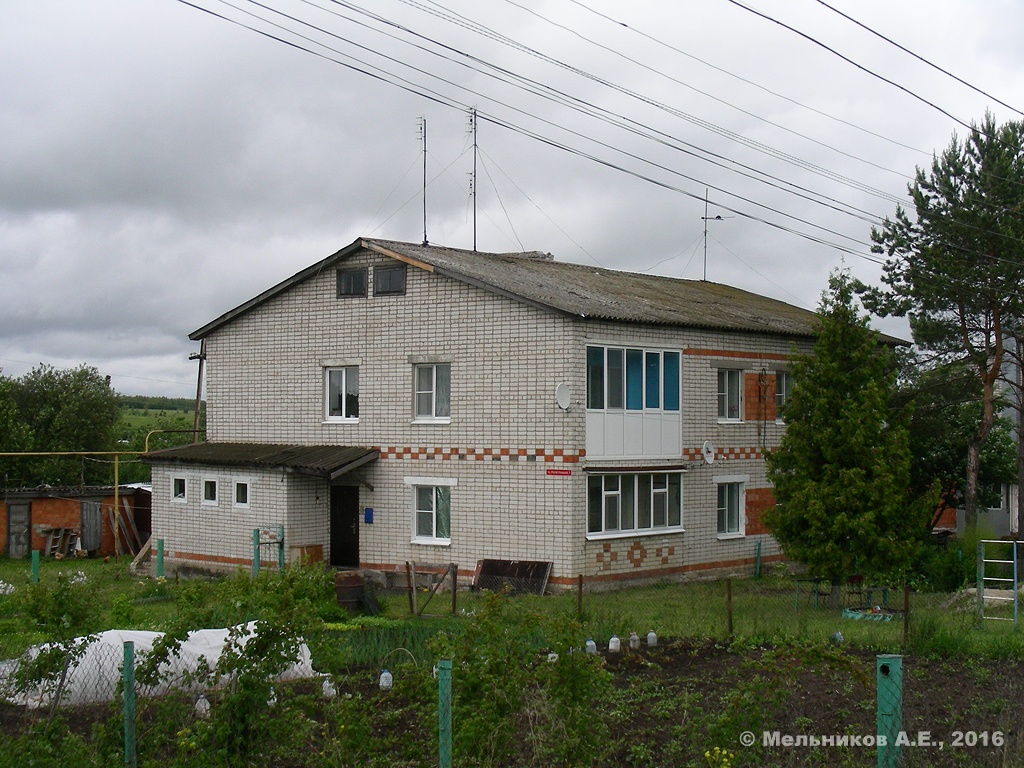 Большемурашкинский район, прочие н.п., С. Курлаково, Магистральная улица, 1