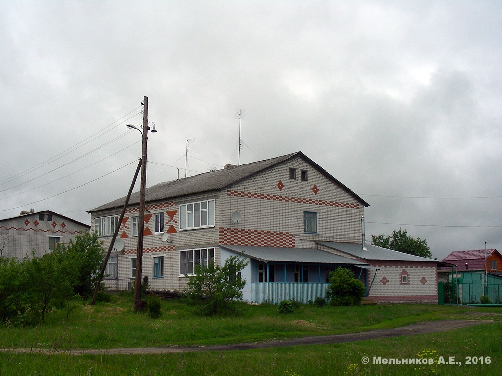 Большемурашкинский район, прочие н.п., С. Курлаково, Магистральная улица, 13