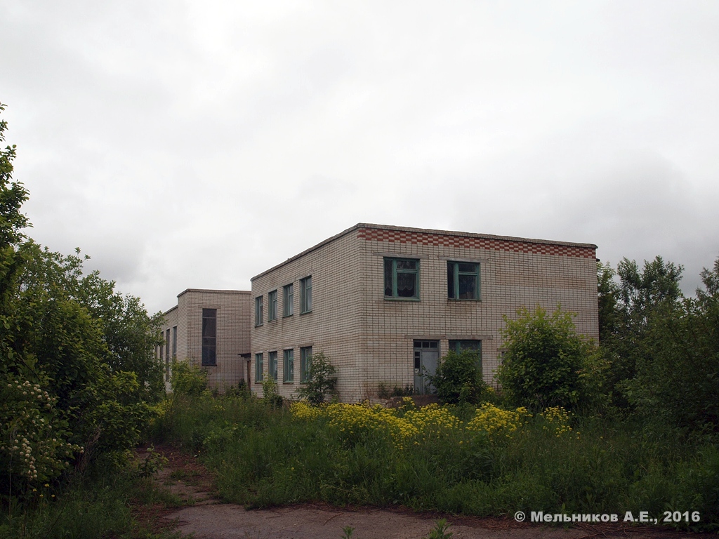 Bolshemurashkinsky district, с. Курлаково, Магистральная улица, 17