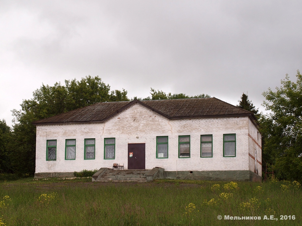 Большемурашкинский район, прочие н.п., с. Курлаково, Магистральная улица, ?