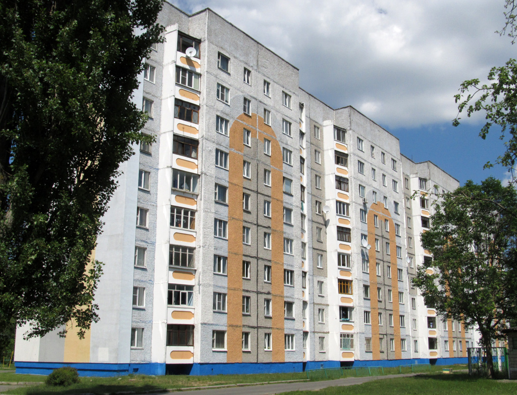 Речица, Набережная улица, 102