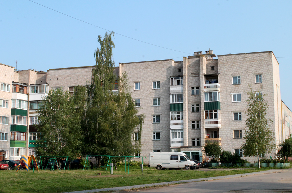 Лепель, Улица Войкова, 91