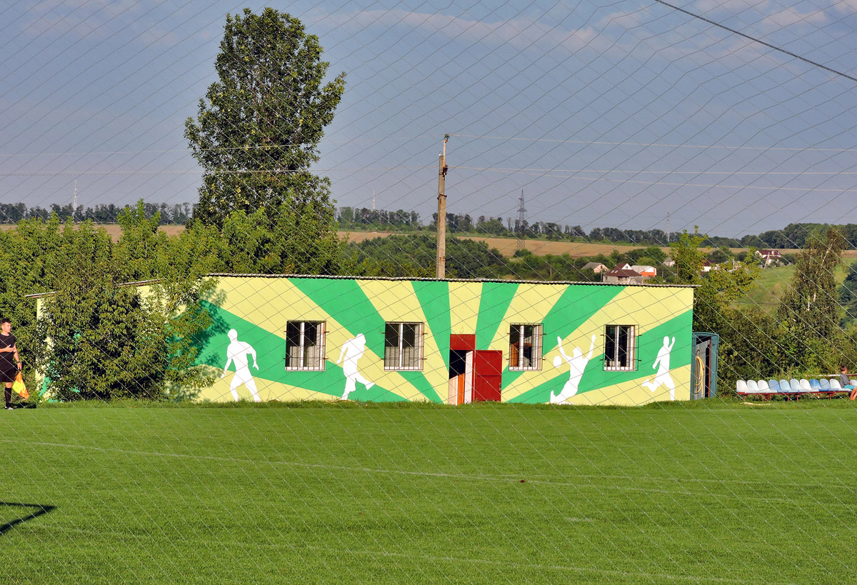 Березовка, Колхозная улица, ?