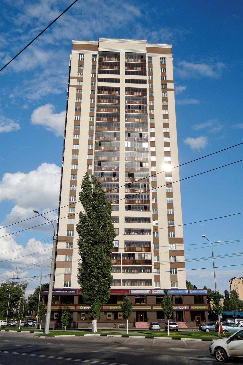 Воронеж, Улица Ворошилова, 1В