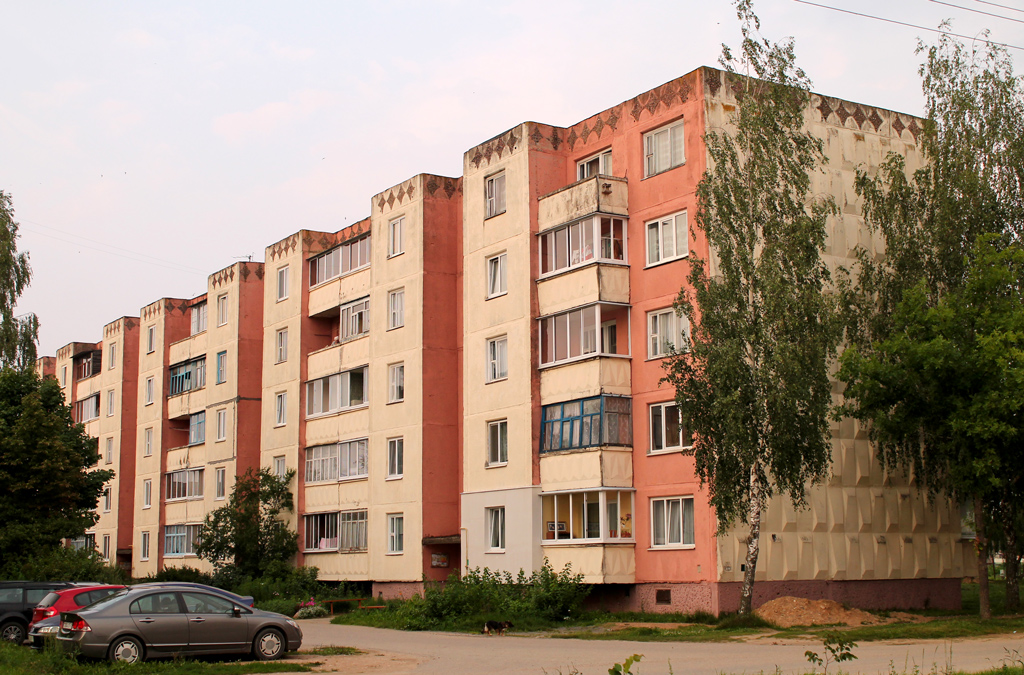 Бешенковичи, Молодёжная улица, 5