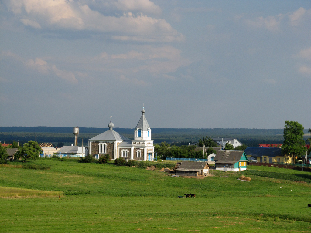 Воложинский район, прочие н.п., Городьки, улица Ленина, 20
