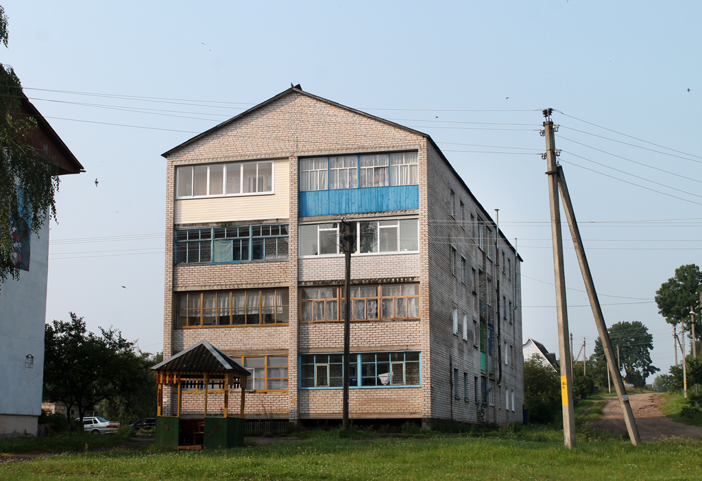 Бешенковичи, Улица Чкалова, 1А