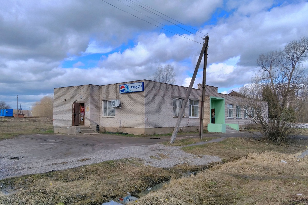 Гаврилов-Ямский район, прочие н.п., С. Шопша, улица Центральная, 3