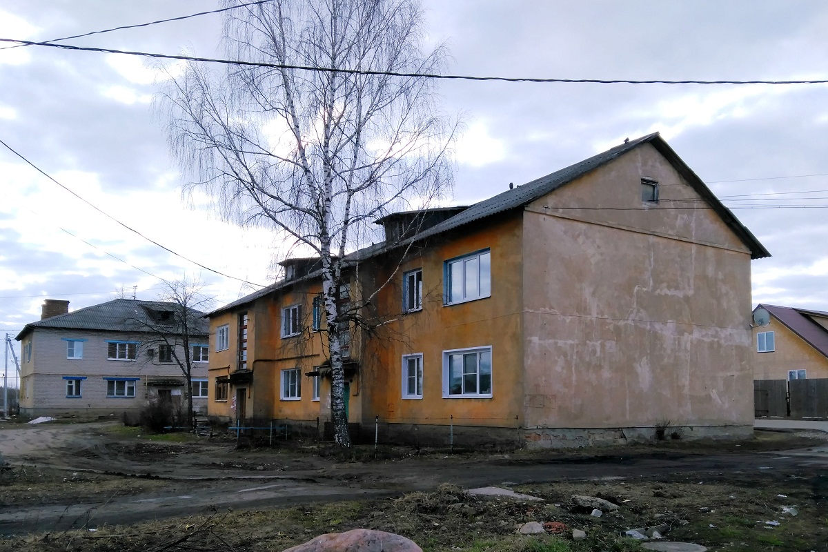 Gavrilov-Yamsky District, other localities, с. Шопша, Старосельская улица, 2