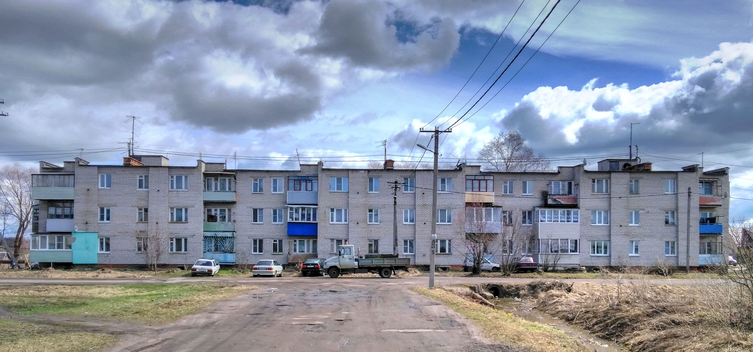 Гаврилов-Ямский район, прочие н.п., с. Шопша, улица Строителей, 8
