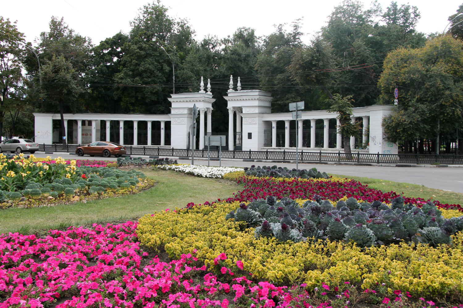 Воронеж, Улица Чайковского, 6