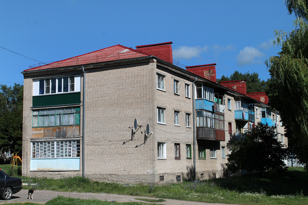 Чечерск, Улица Ульянова, 19