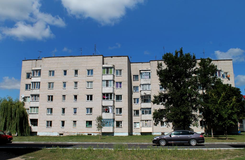 Ветка, Улица Батракова, 34А