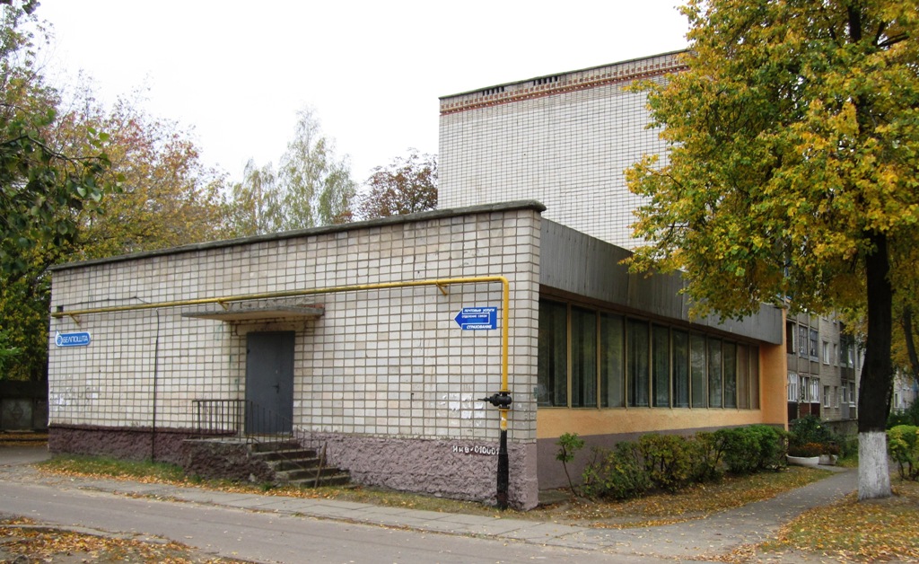 Рогачёв, Улица Пушкина, 61