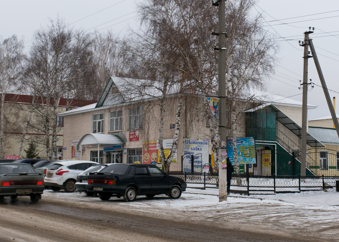 Благоварский район, прочие н.п., с. Языково, улица Пушкина, 11