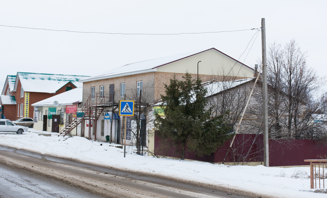 Благоварский район, прочие н.п., с. Языково, улица Пушкина, 2; с. Языково, улица Пушкина, 2А