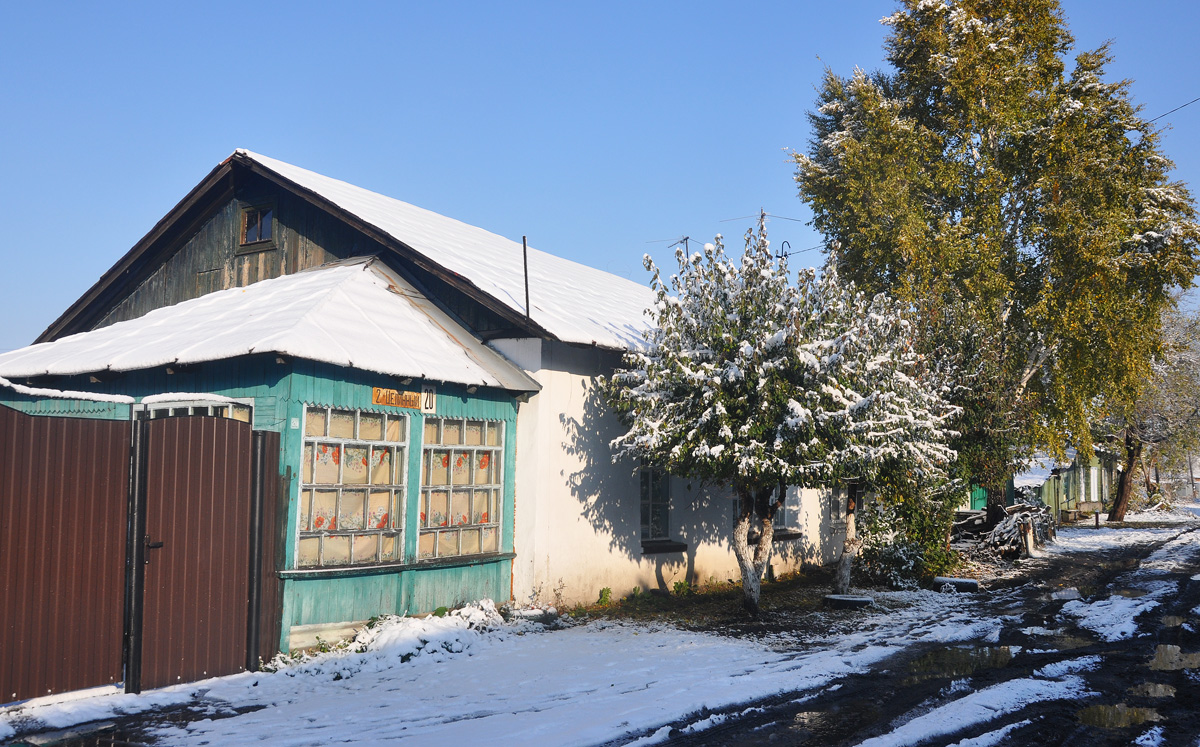 Омск, 2-й Целинный переулок, 20