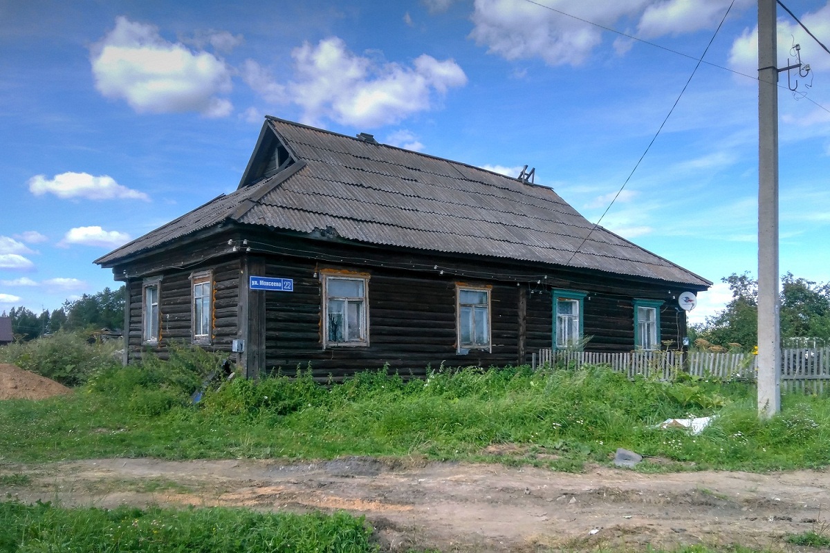 Pereslavsky District, other localities, с. Новоселье, улица Моисеева, 22