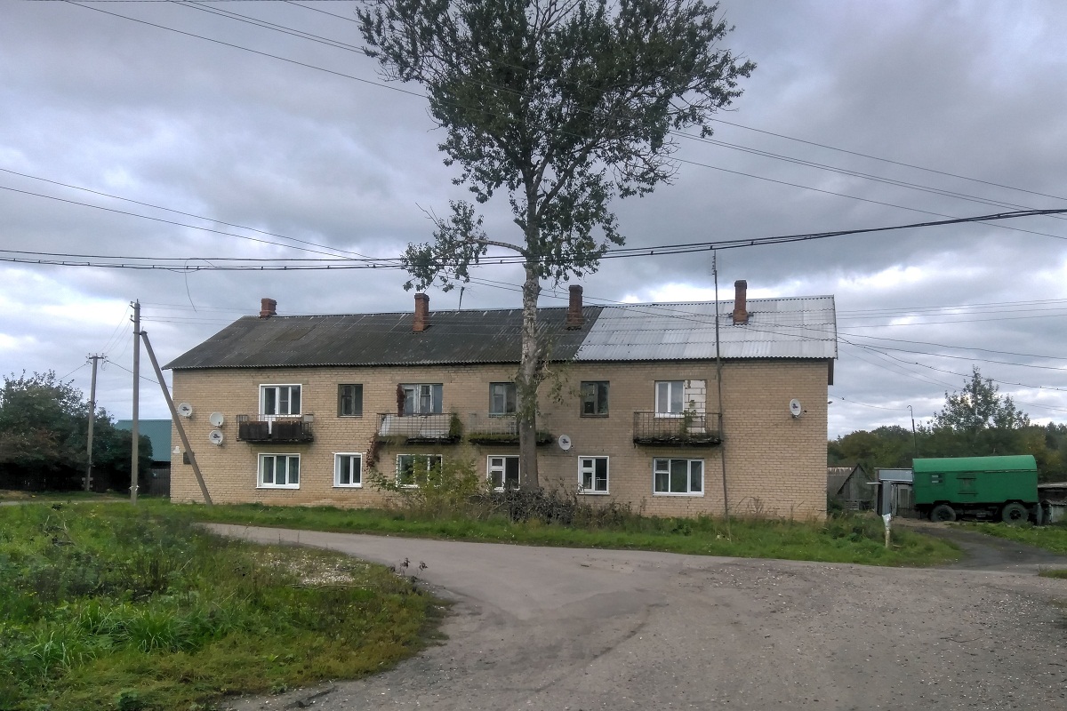 Переславский район, прочие н.п., с. Новоселье, улица Моисеева, 7