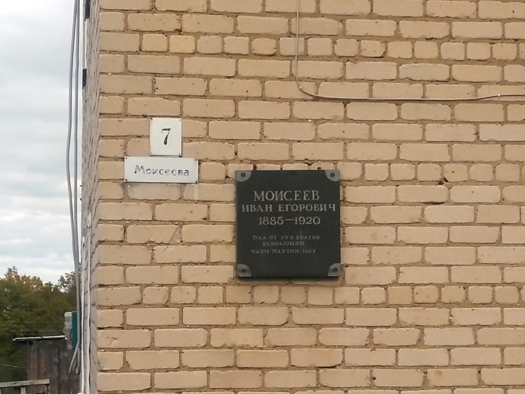 Переславский район, прочие н.п., с. Новоселье, улица Моисеева, 7