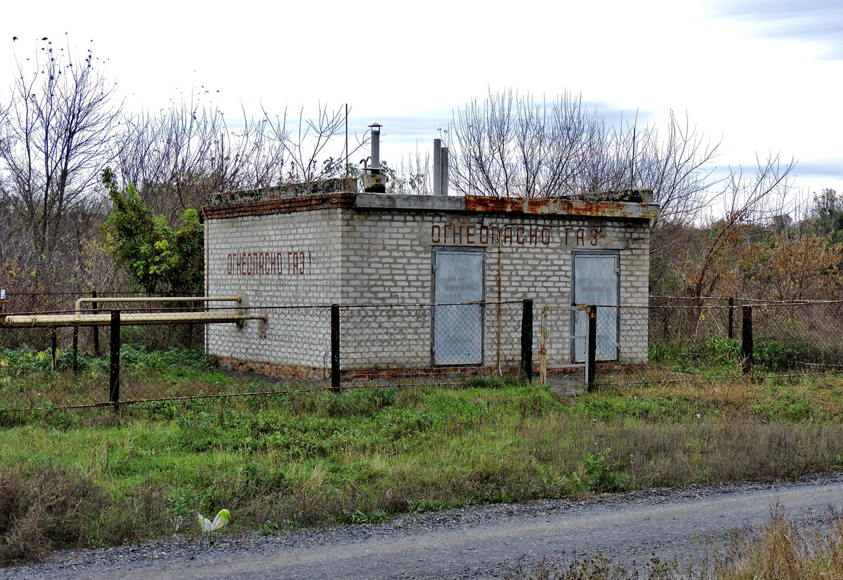 Гусиная Поляна, Новопроектная улица, ?