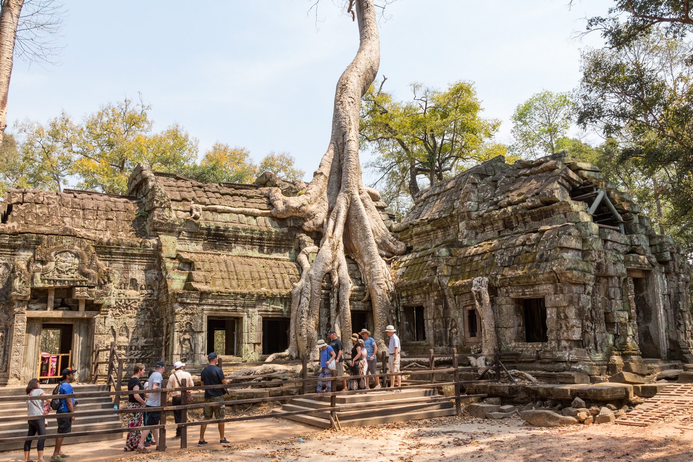 Сиемриап, Ta Prohm