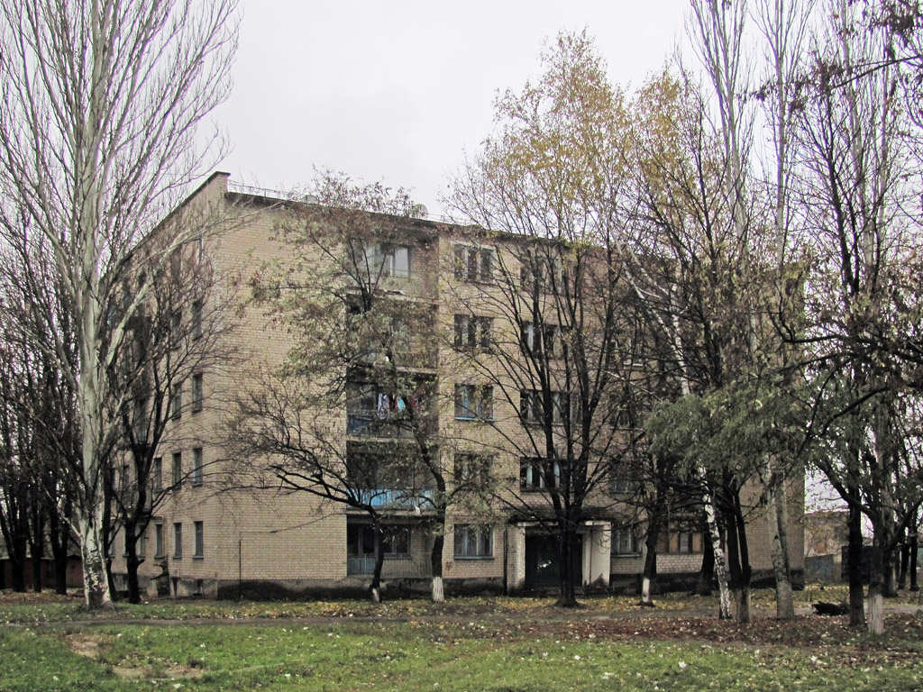 Попасная, Улица Мира, 161