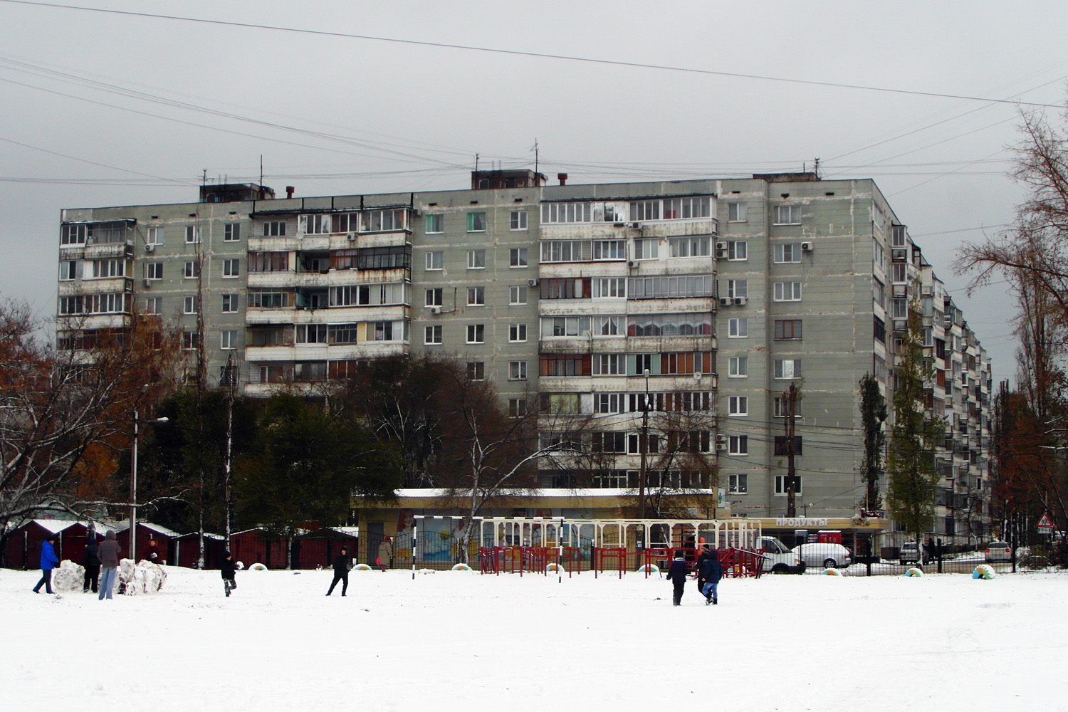 Воронеж, Улица Ильича, 59