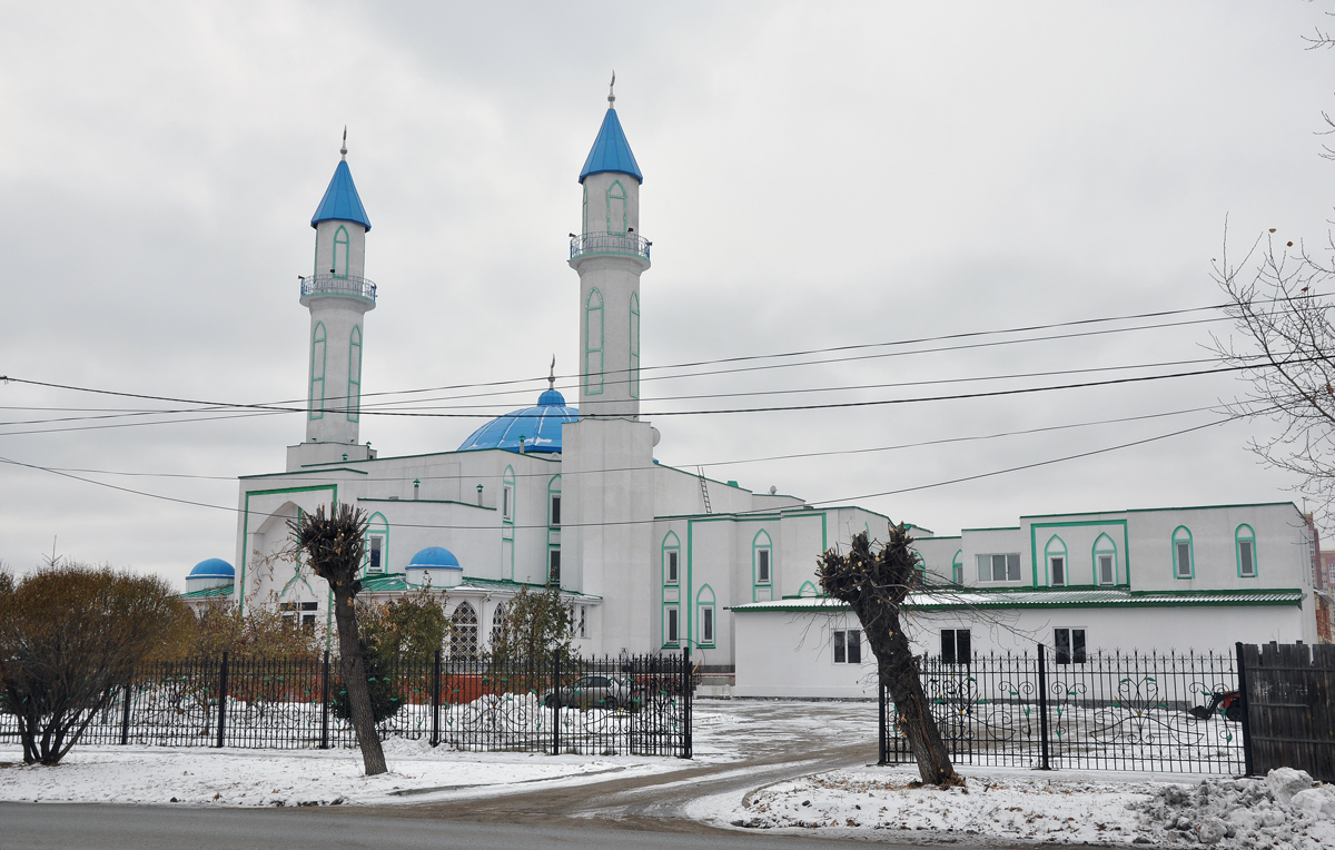 Омск, Улица 20-я линия, 102