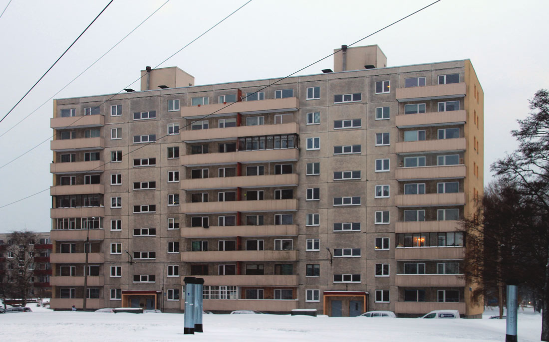 Таллин, Sõpruse puiestee, 163