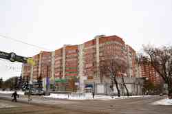 393 КБ