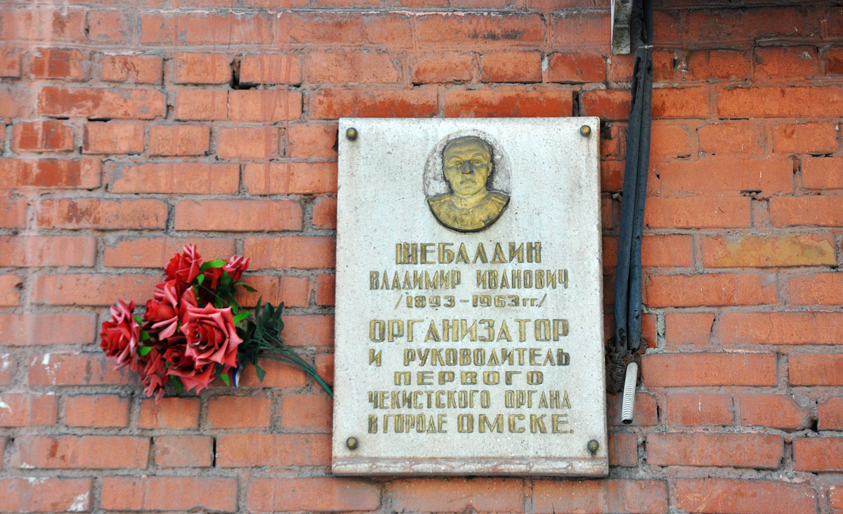 Омск, Улица Шебалдина, 170