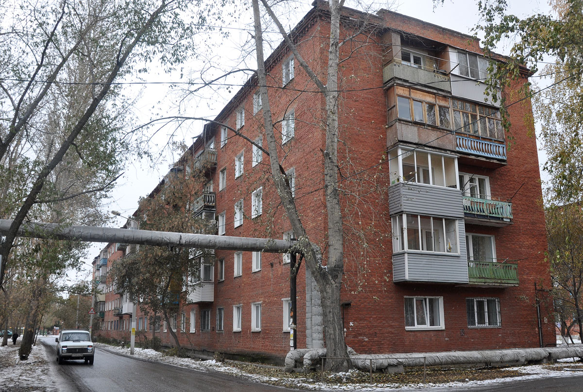 Омск, Камерный переулок, 36