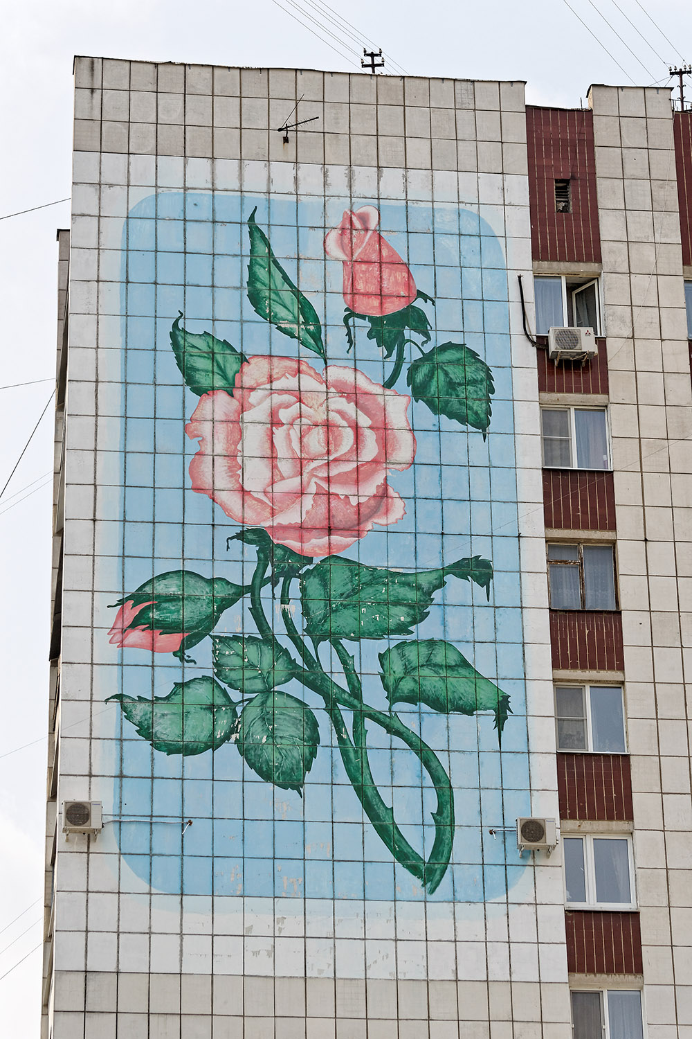 Воронеж, Средне-Московская улица, 1