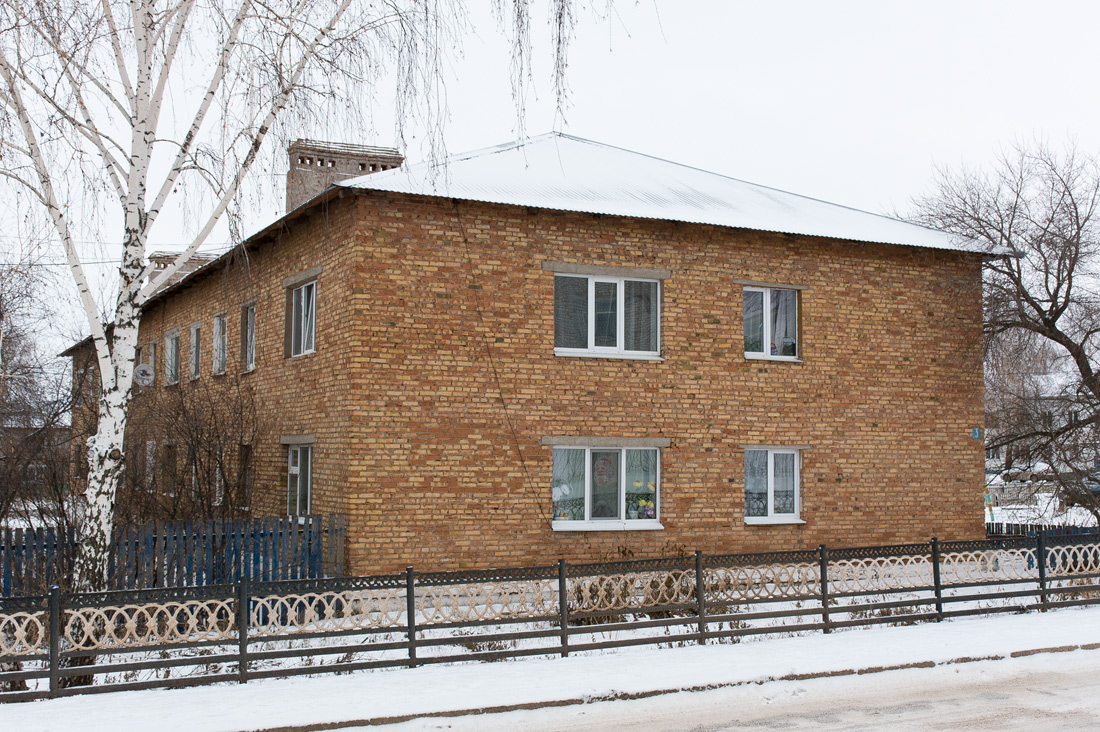 Благоварский район, прочие н.п., с. Языково, улица Мира, 3