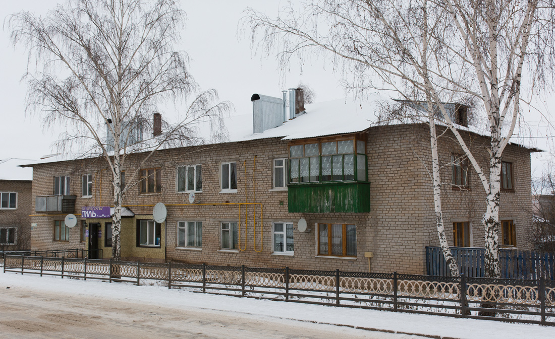 Благоварский район, прочие н.п., с. Языково, улица Мира, 1