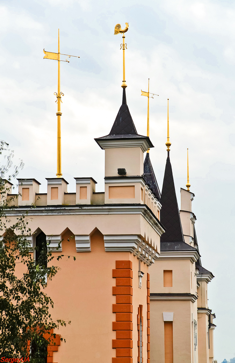 Киев, Улица Михаила Грушевского, 1А