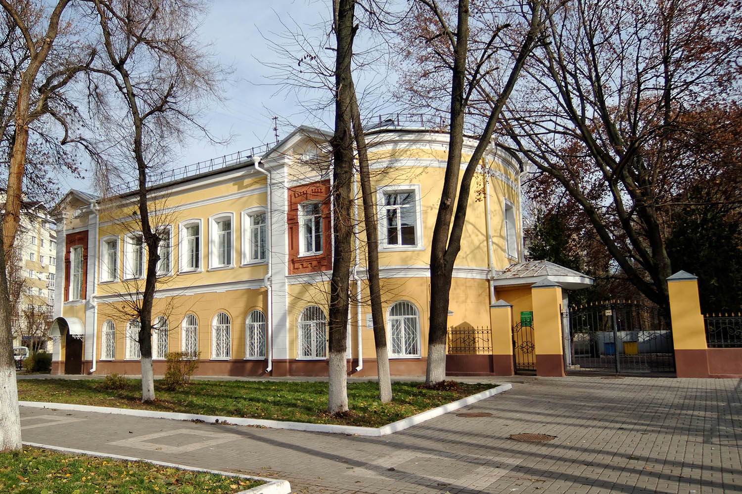 Воронеж, Улица Карла Маркса, 82