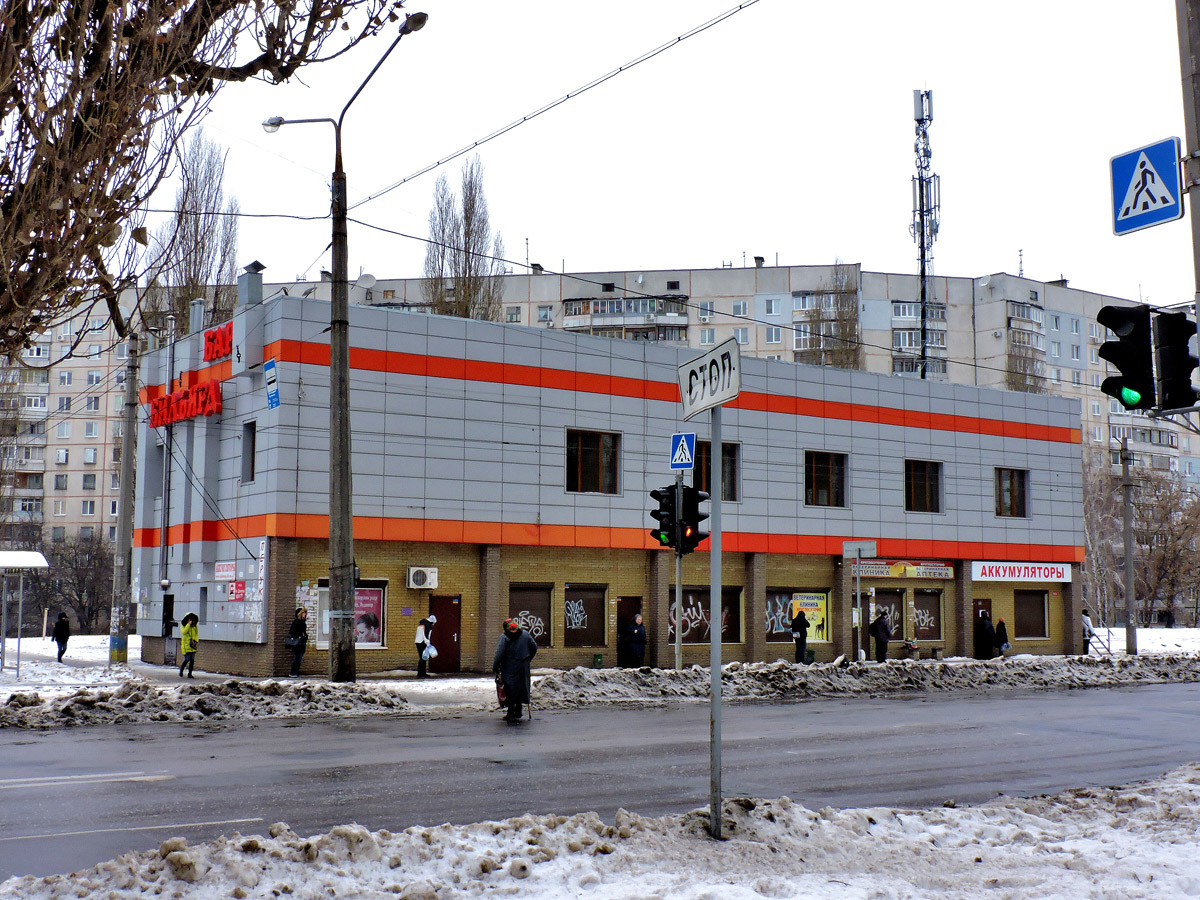 Харкiв, Улица Академика Павлова, 317